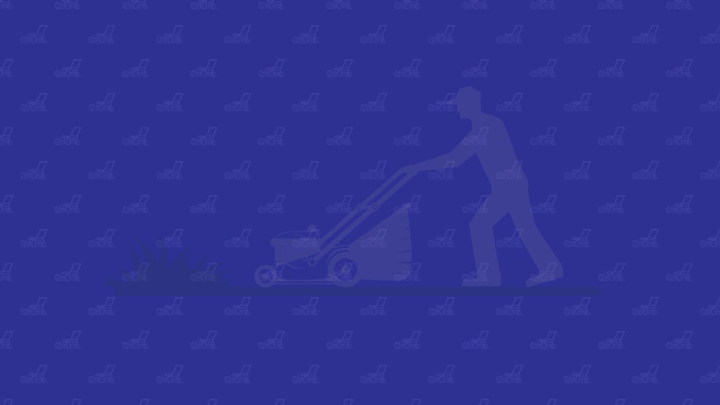 Lawn Care Business Software – A Guide for Lawn Care Specialists