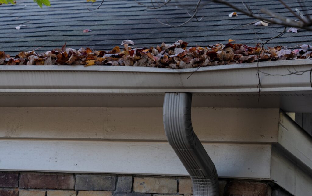 gutter service management